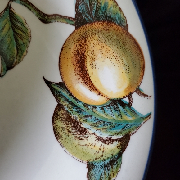 (4) "Macintosh" Pier 8 1/2" Coupe Bowls by England 🇬🇧 Angleterre (Retired) - Picture 7 of 9